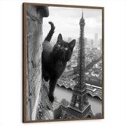 framed-print-brown-walnut-standard