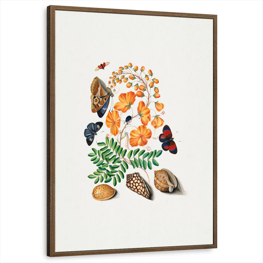 framed-print-brown-walnut-standard