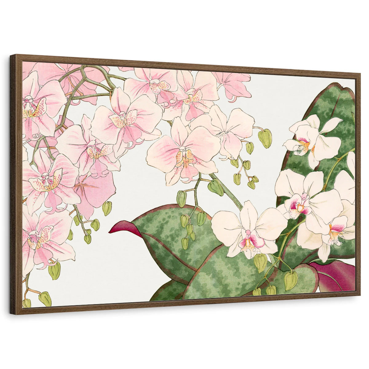 framed-print-brown-walnut-standard