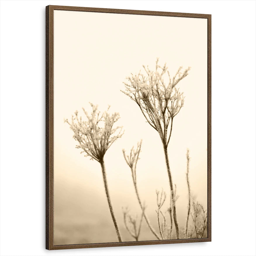 framed-print-brown-walnut-standard