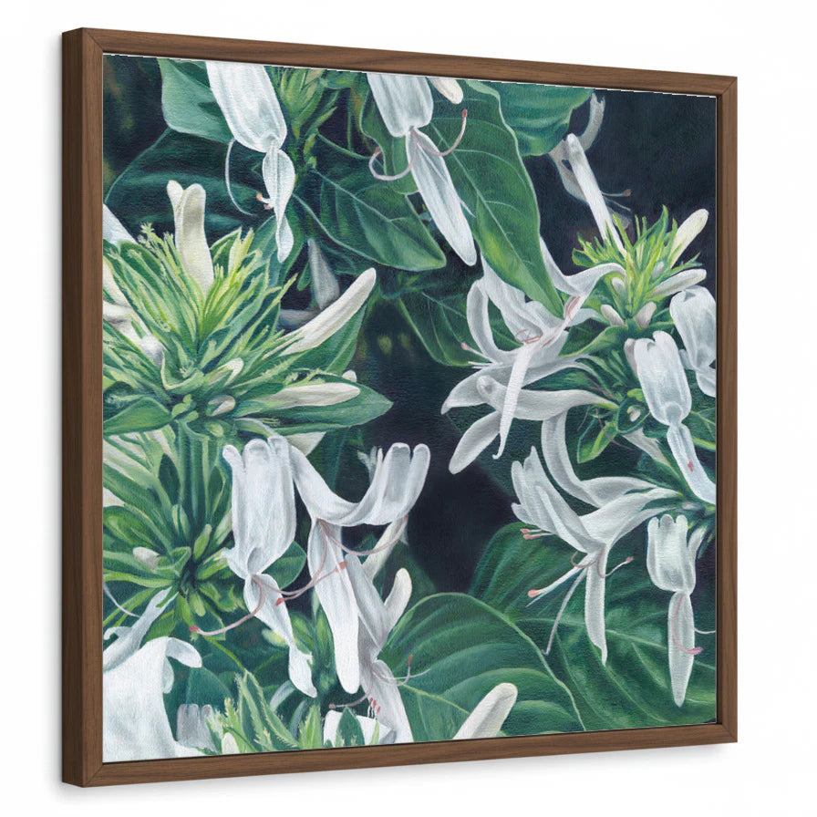 framed-print-brown-walnut-standard