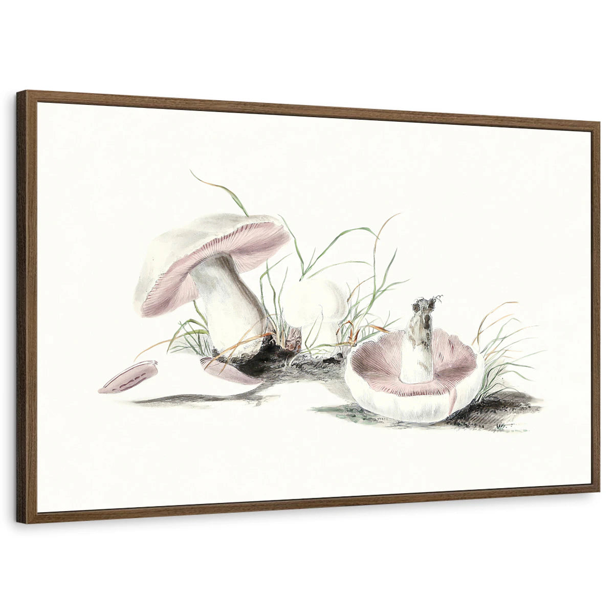 framed-print-brown-walnut-standard