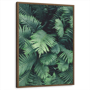 framed-print-brown-walnut-standard