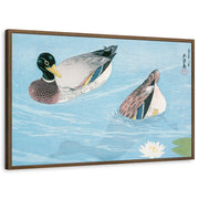framed-print-brown-walnut-standard