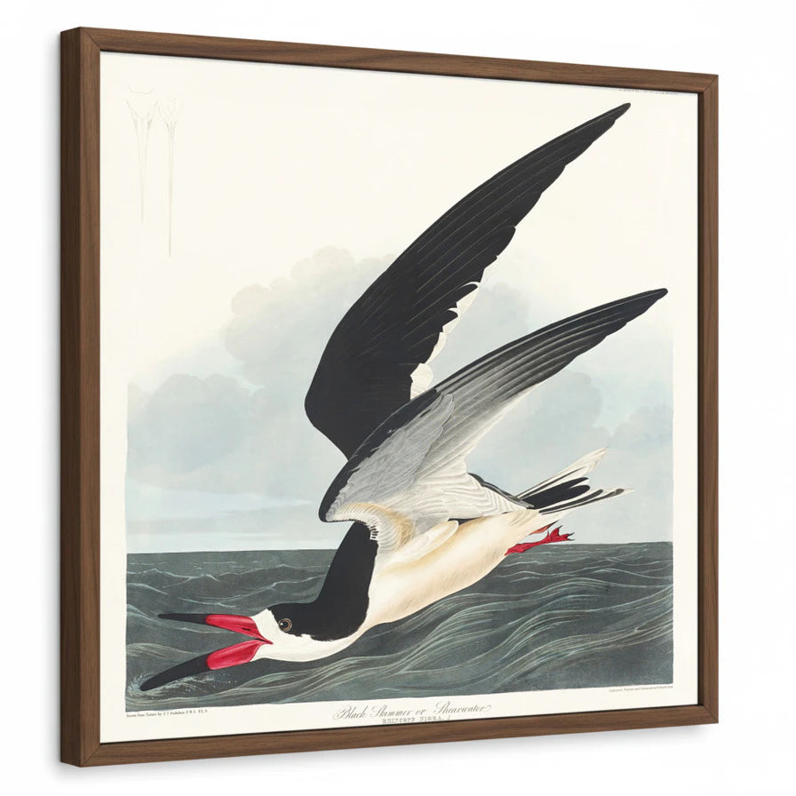 framed-print-brown-walnut-standard