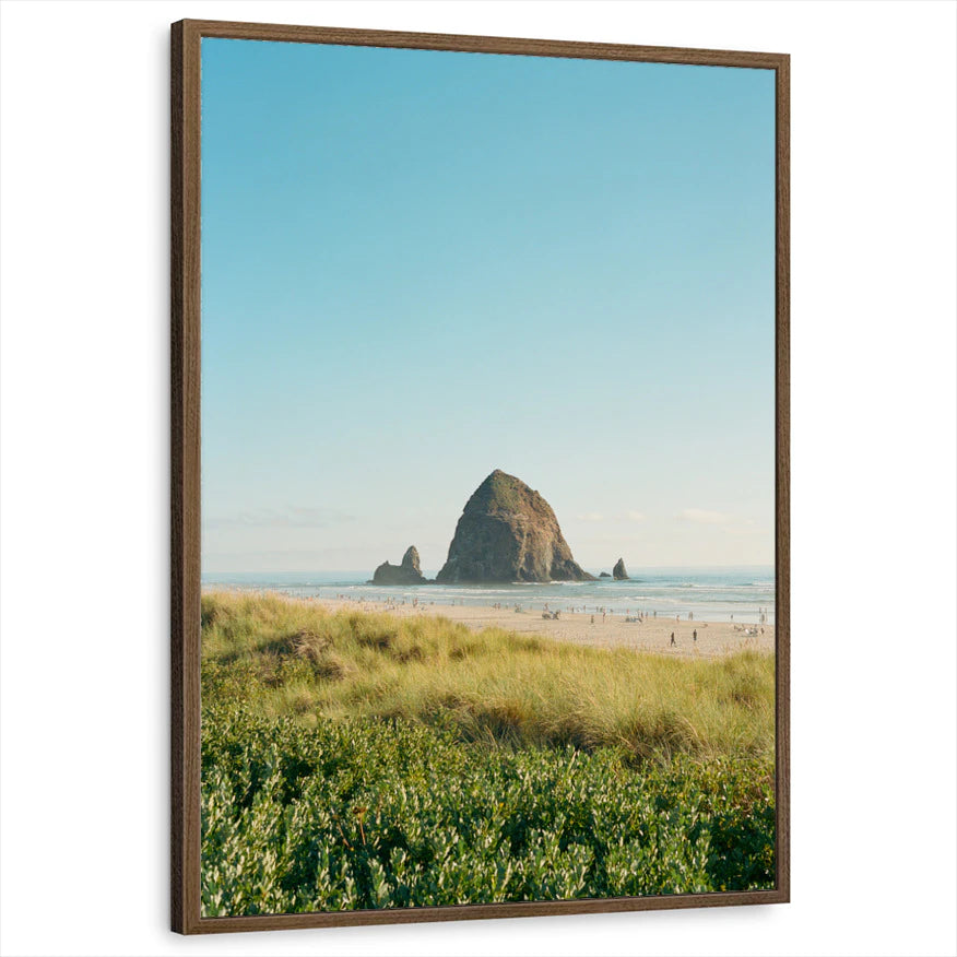 framed-print-brown-walnut-standard