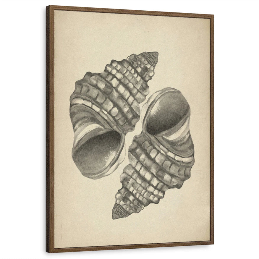 framed-print-brown-walnut-standard