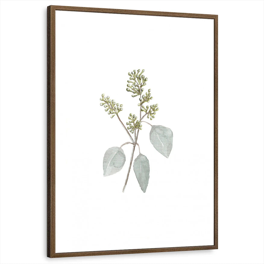 framed-print-brown-walnut-standard