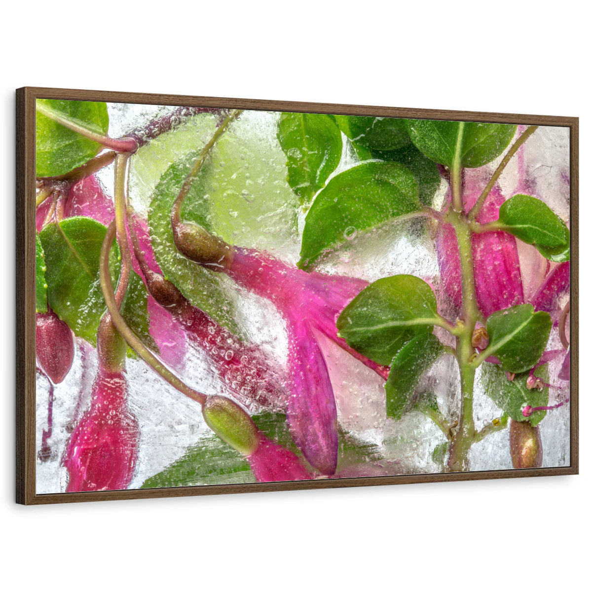 framed-print-brown-walnut-standard