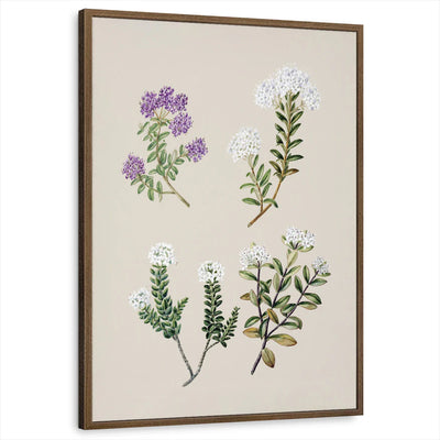 framed-print-brown-walnut-standard