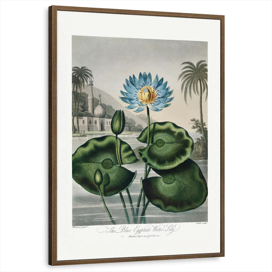framed-print-brown-walnut-standard