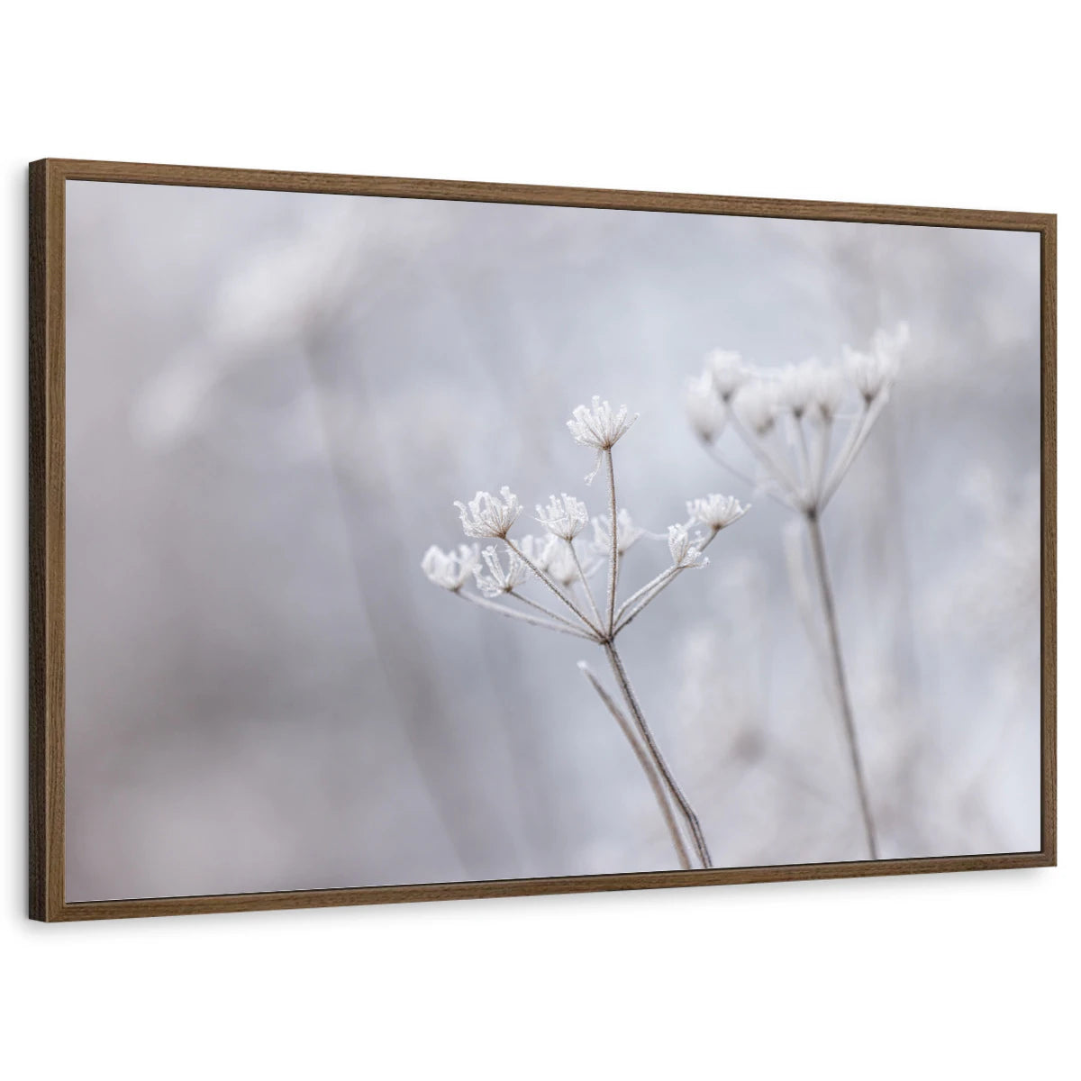 framed-print-brown-walnut-standard