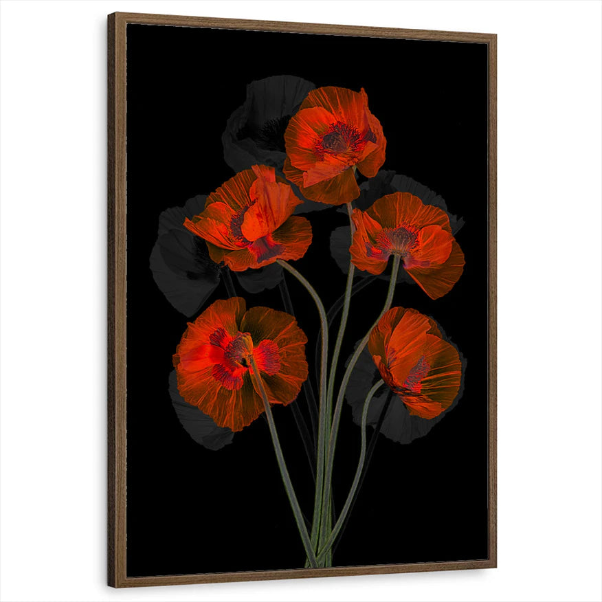 framed-print-brown-walnut-standard