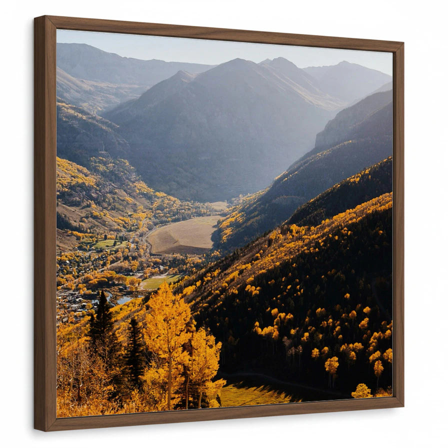 framed-print-brown-walnut-standard