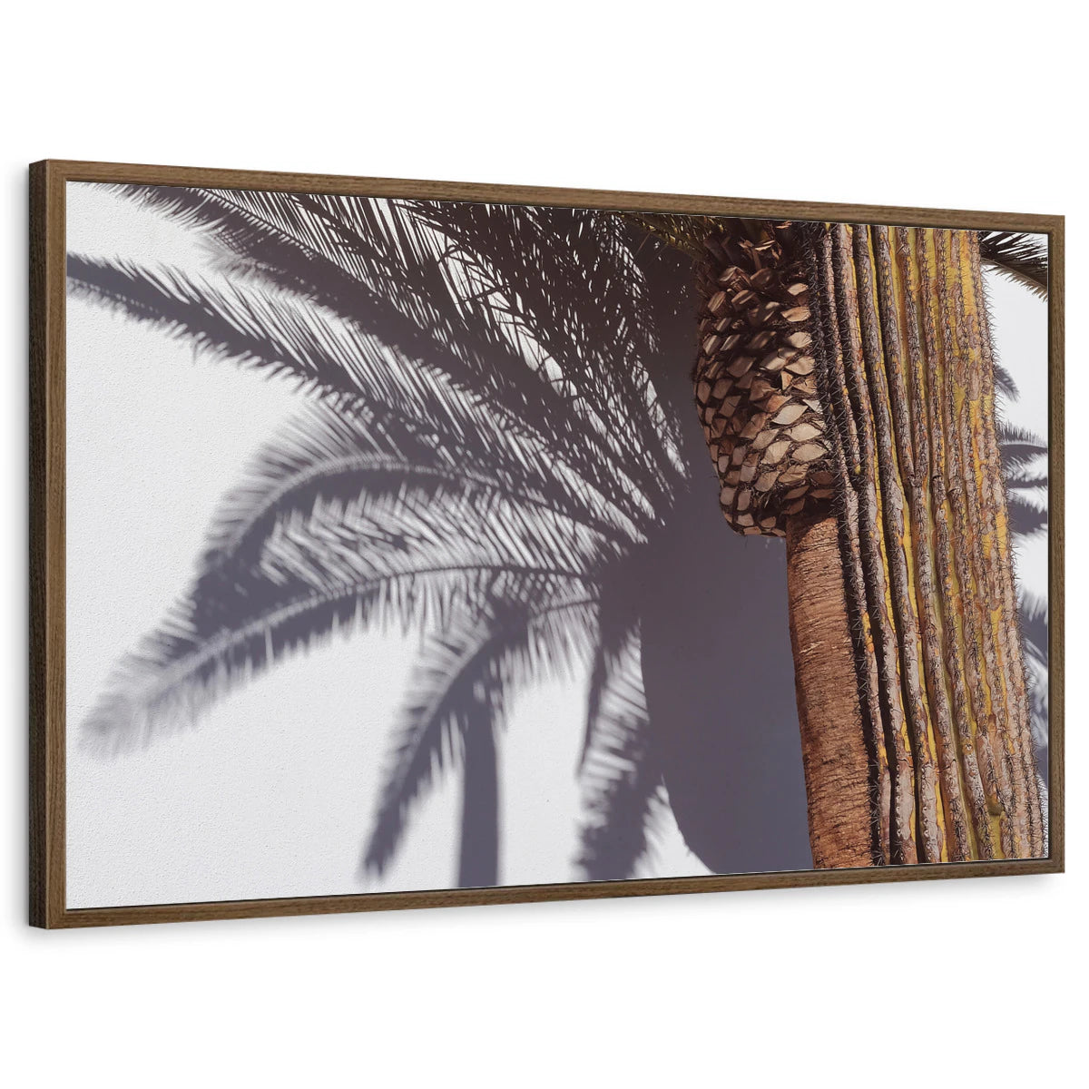 framed-print-brown-walnut-standard