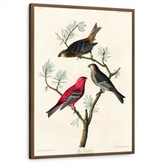 framed-print-brown-walnut-standard