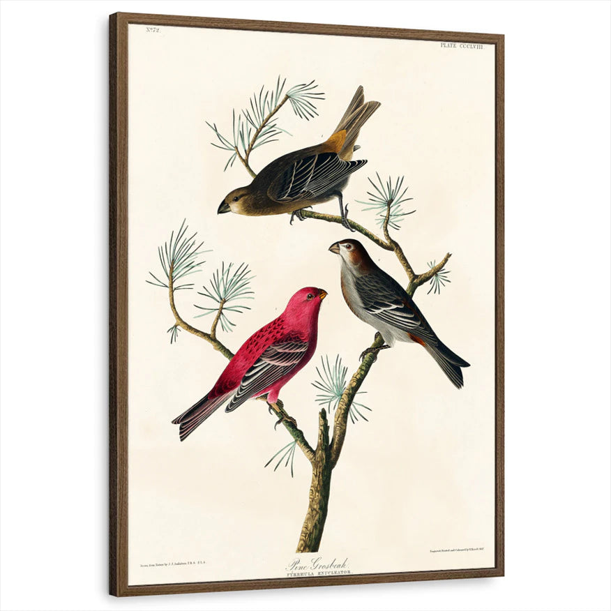 framed-print-brown-walnut-standard