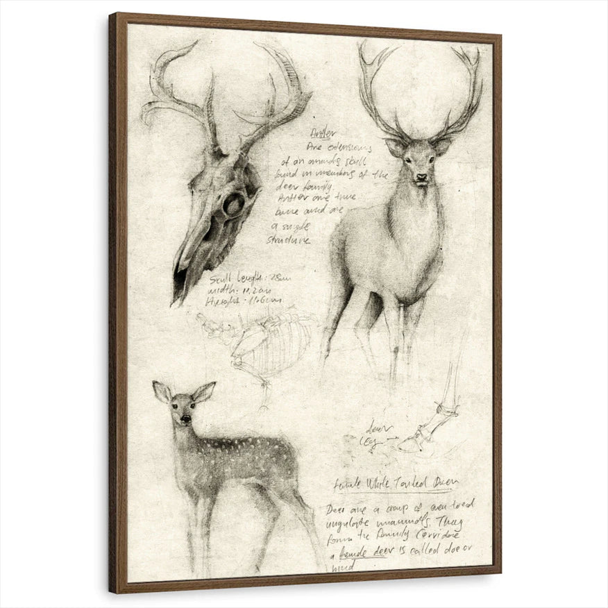 framed-print-brown-walnut-standard