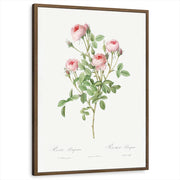 framed-print-brown-walnut-standard