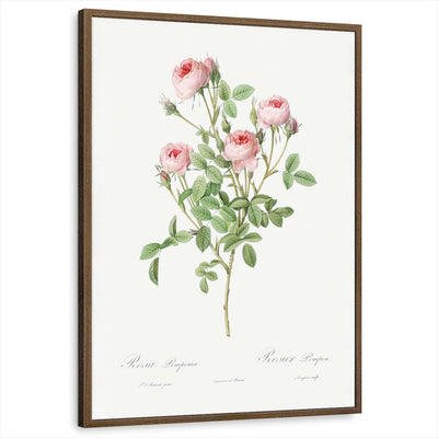 framed-print-brown-walnut-standard