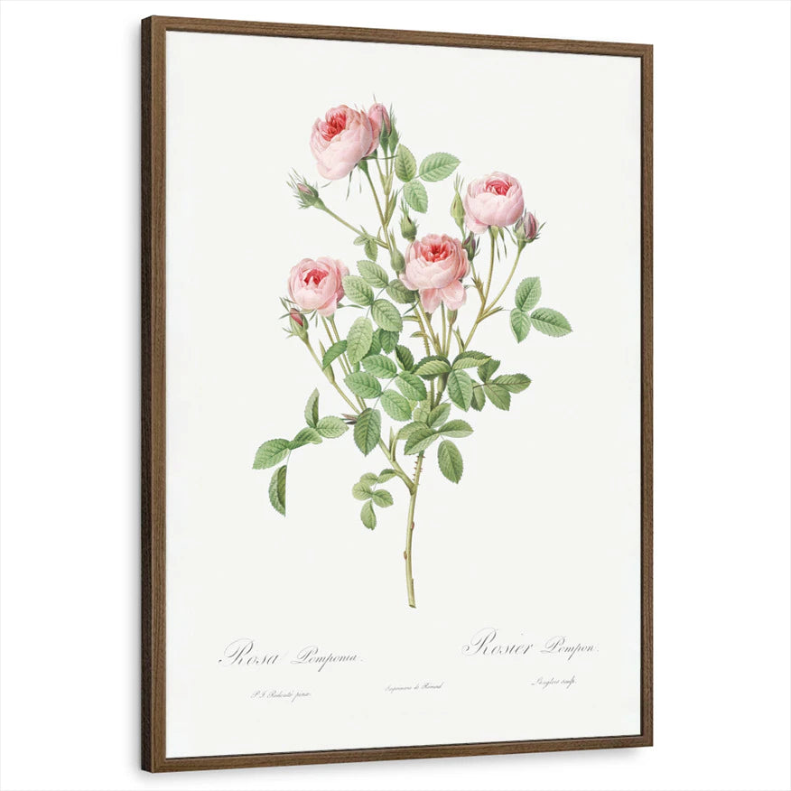 framed-print-brown-walnut-standard