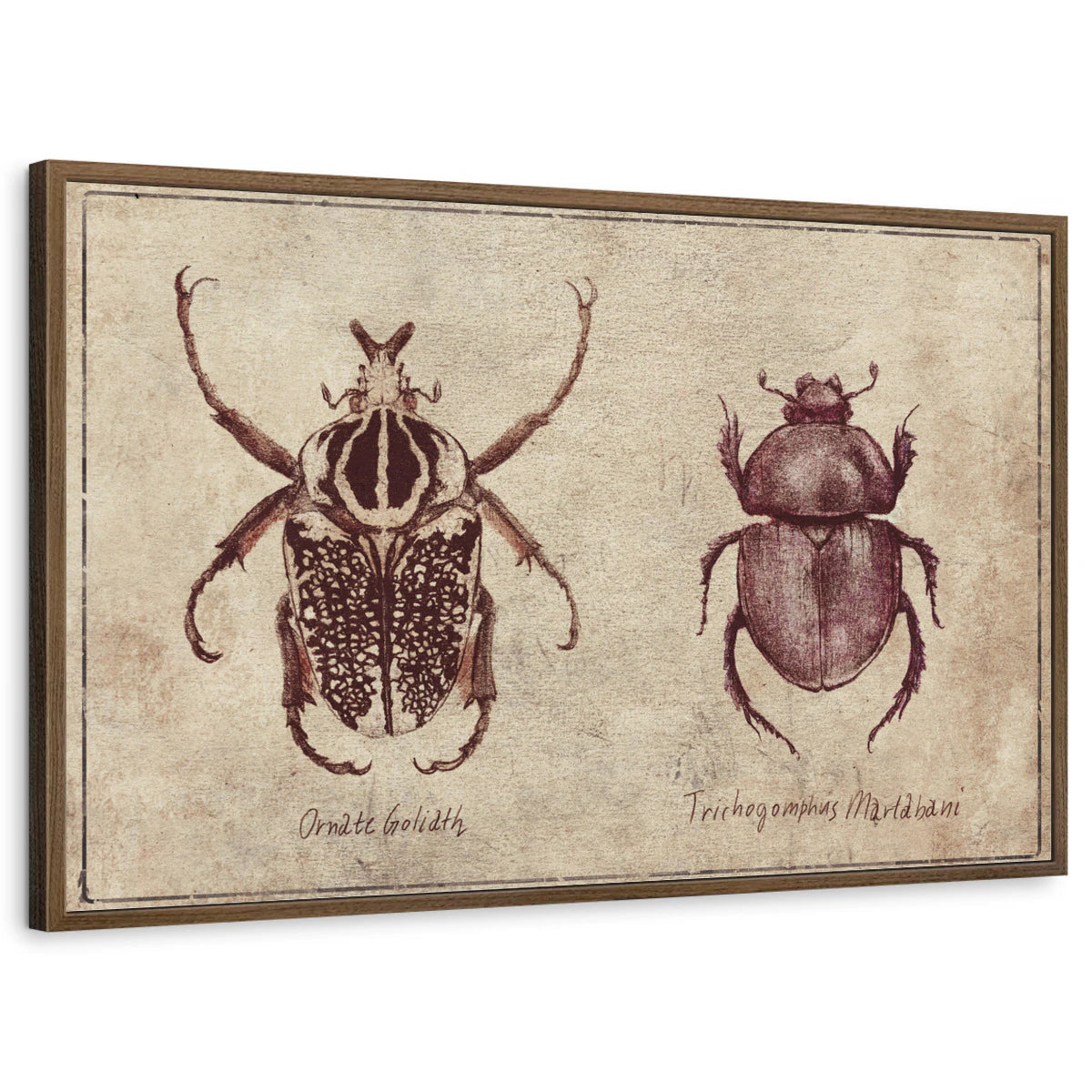 framed-print-brown-walnut-standard