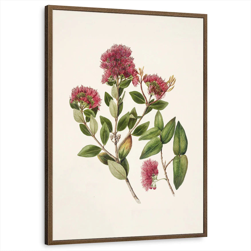 framed-print-brown-walnut-standard