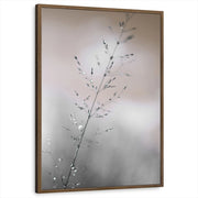 framed-print-brown-walnut-standard