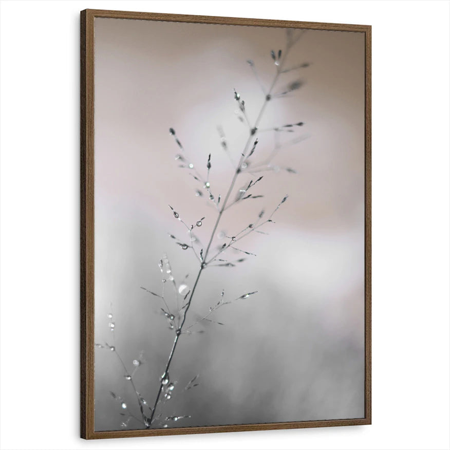 framed-print-brown-walnut-standard