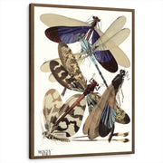framed-print-brown-walnut-standard