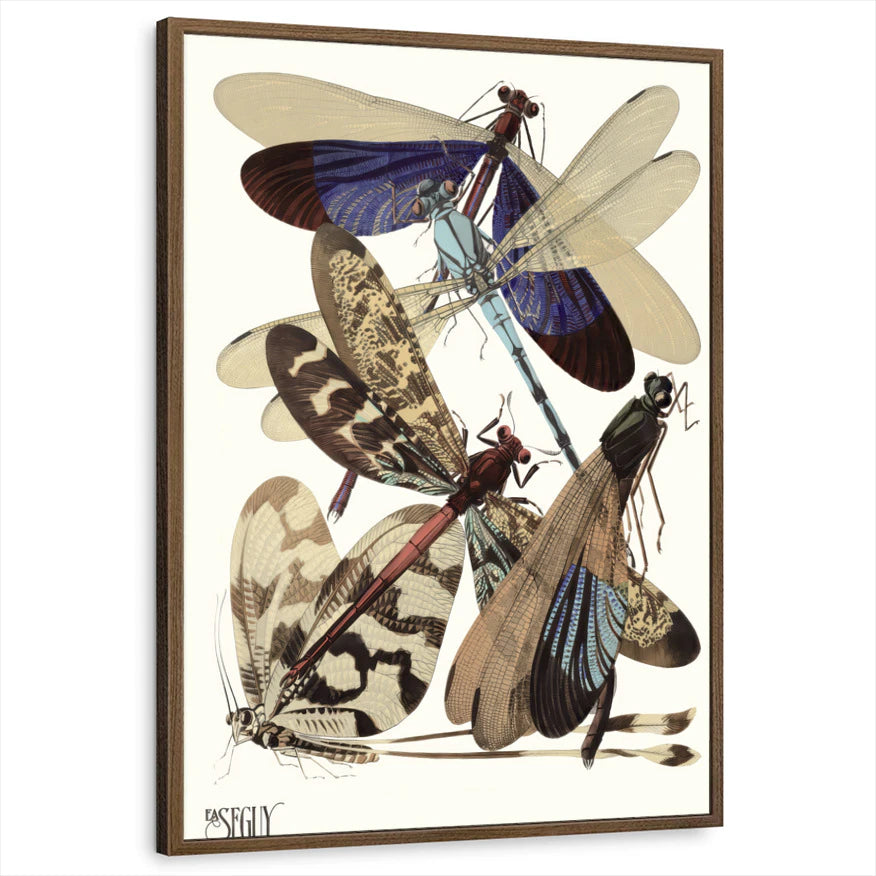 framed-print-brown-walnut-standard