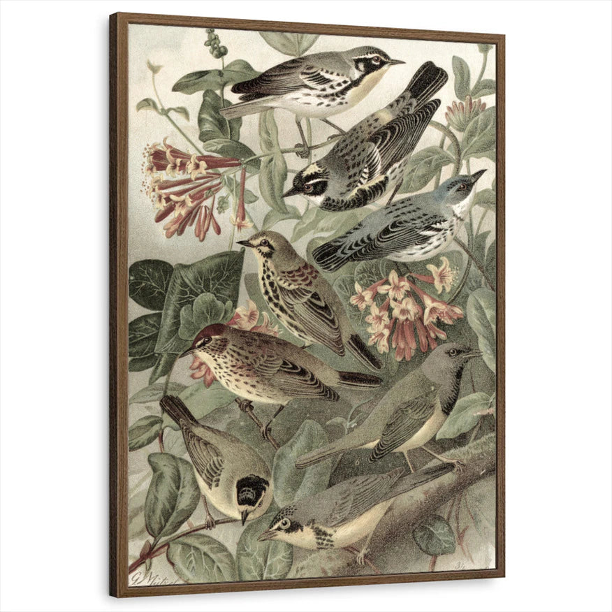 framed-print-brown-walnut-standard
