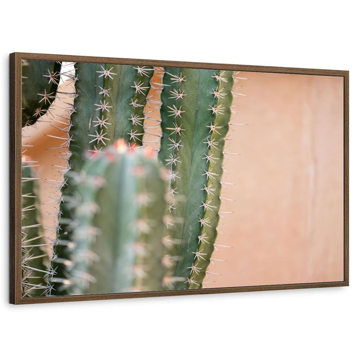 framed-print-brown-walnut-standard