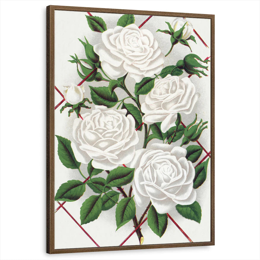 framed-print-brown-walnut-standard