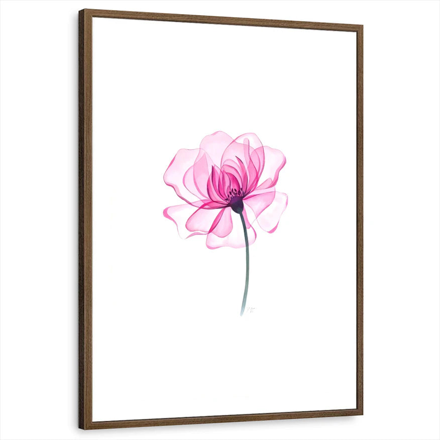 framed-print-brown-walnut-standard