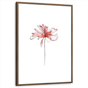 framed-print-brown-walnut-standard
