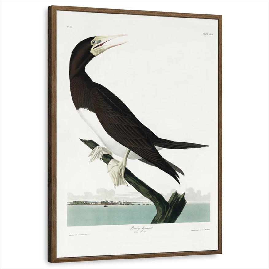 framed-print-brown-walnut-standard