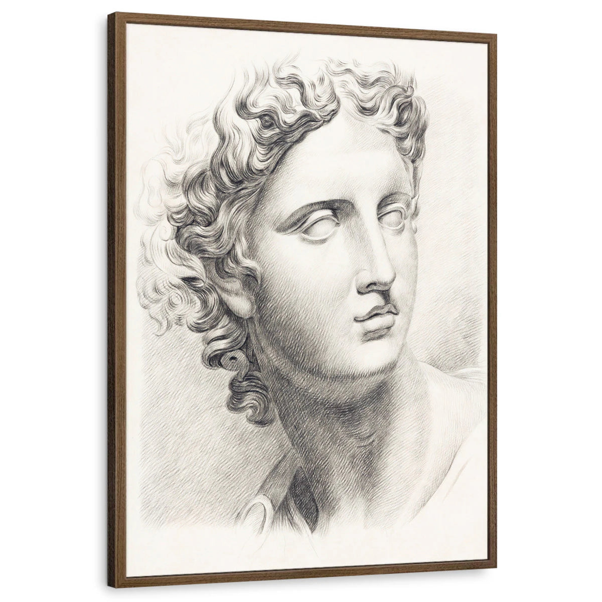 framed-print-brown-walnut-standard