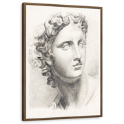 framed-print-brown-walnut-standard