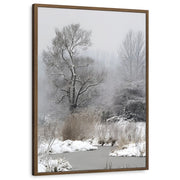 framed-print-brown-walnut-standard