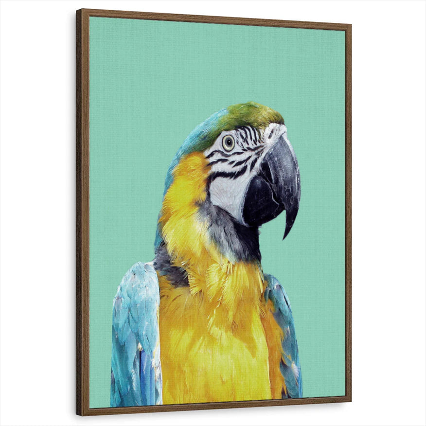 framed-print-brown-walnut-standard