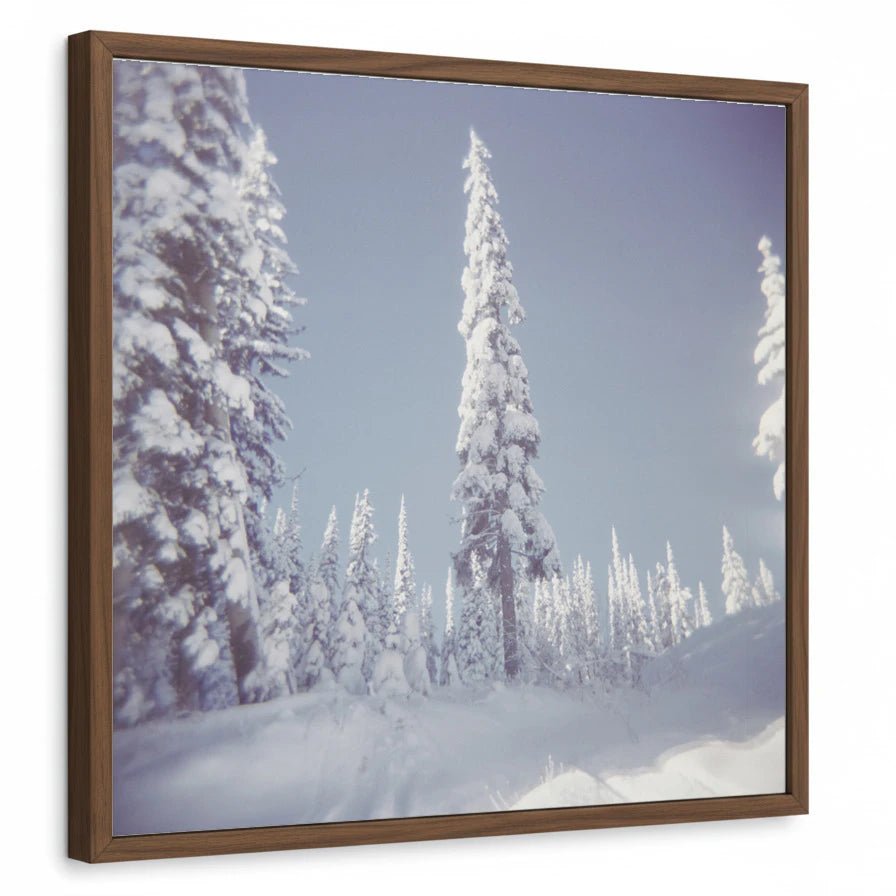 framed-print-brown-walnut-standard