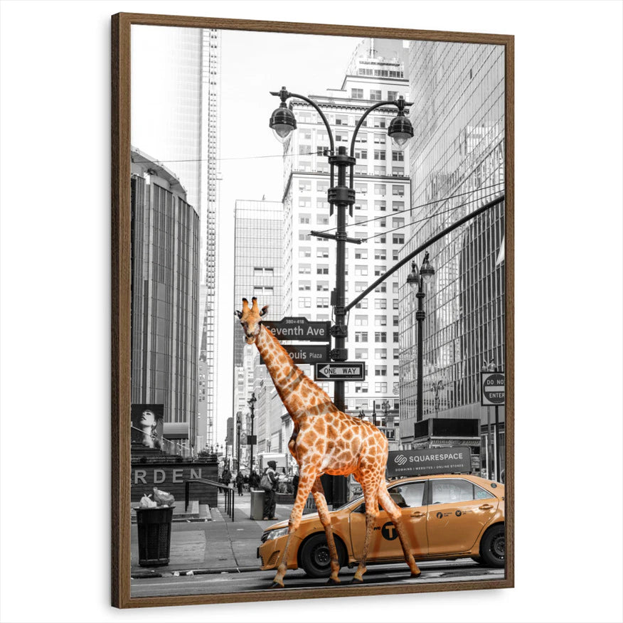 framed-print-brown-walnut-standard