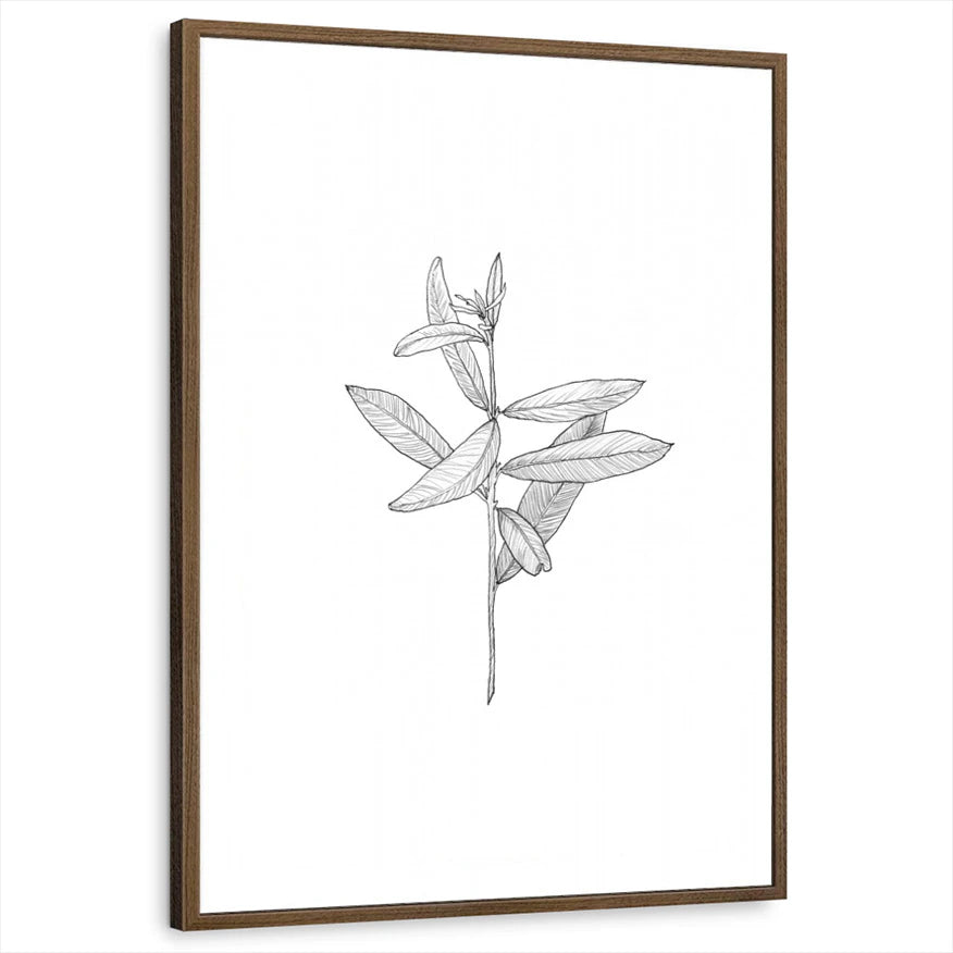 framed-print-brown-walnut-standard