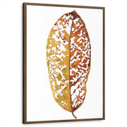 framed-print-brown-walnut-standard