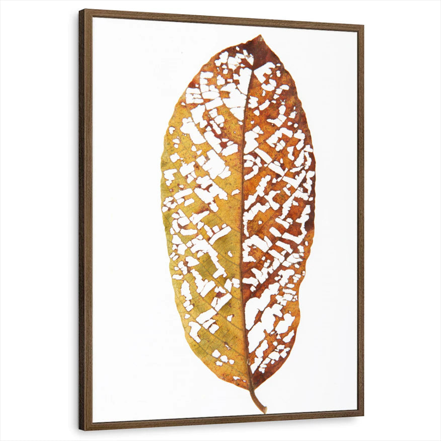 framed-print-brown-walnut-standard