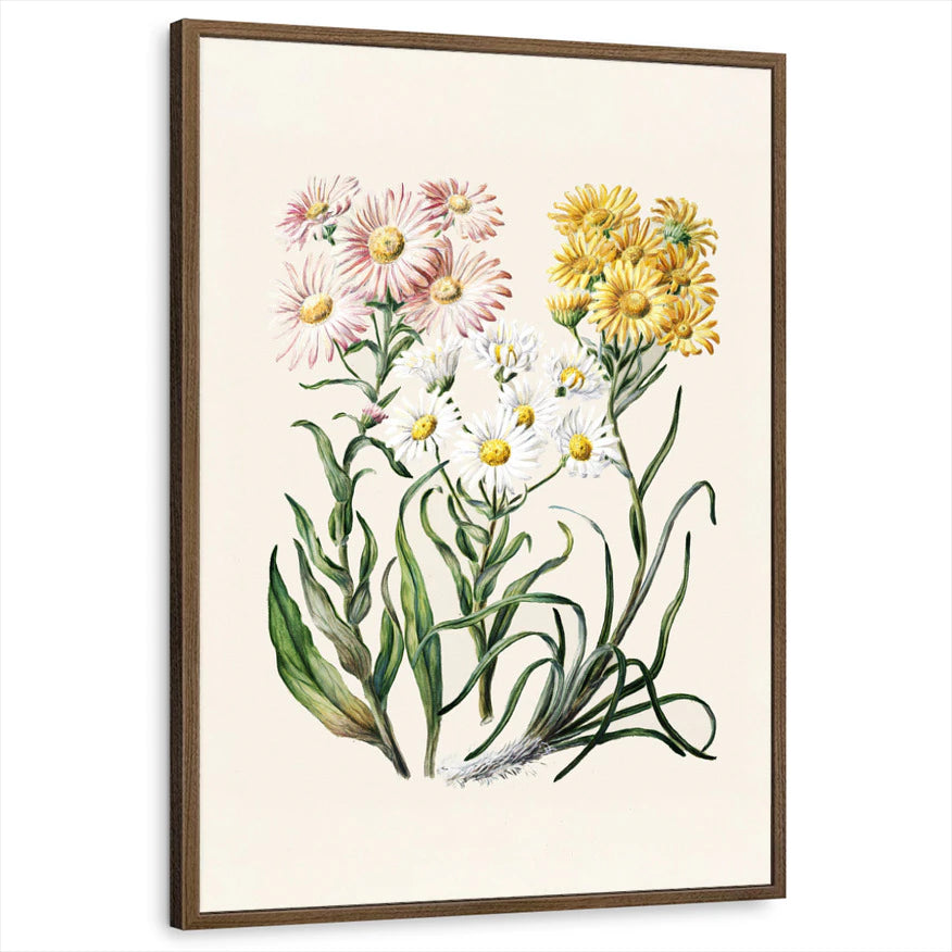 framed-print-brown-walnut-standard