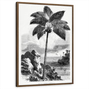 framed-print-brown-walnut-standard
