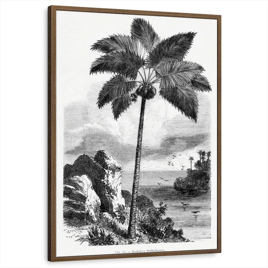 framed-print-brown-walnut-standard