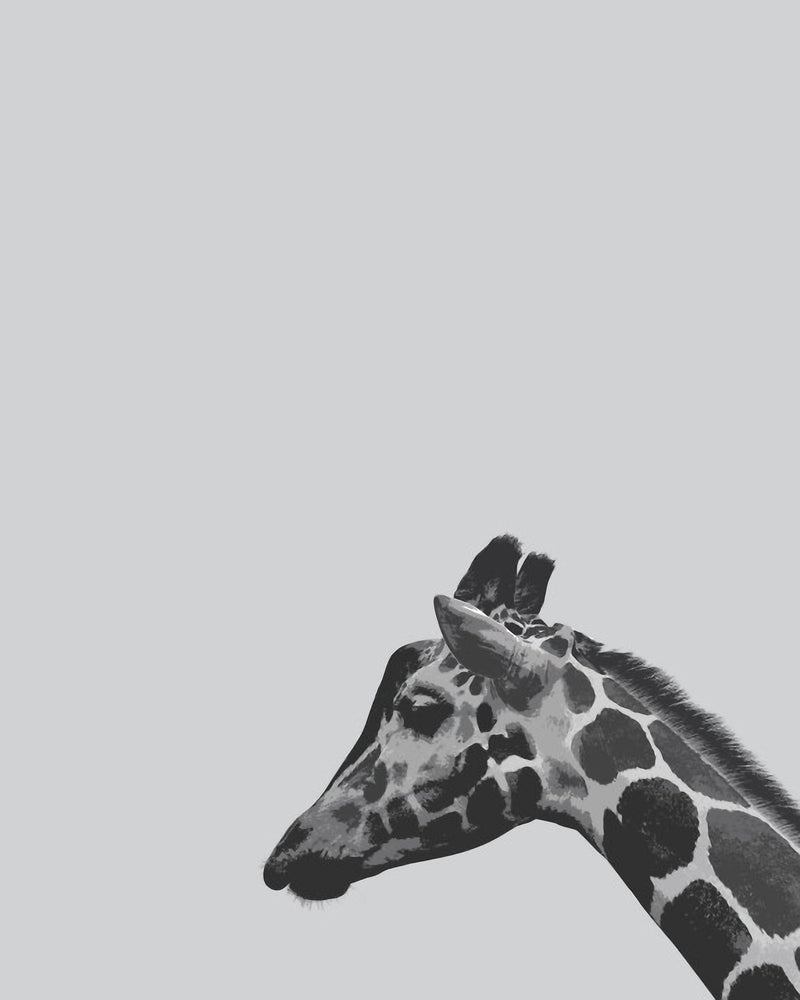 Modern African Giraffe Ink Illustration in Grey